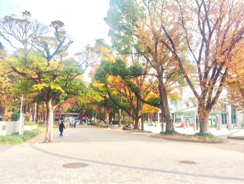 名古屋市科学館の公園