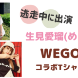 生見愛瑠(めるる)の私服ブランドは？WEGOとコラボTシャツも大人気！